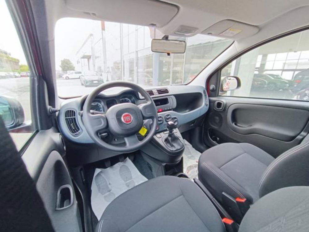 Fiat Panda nuova a Pisa (15)