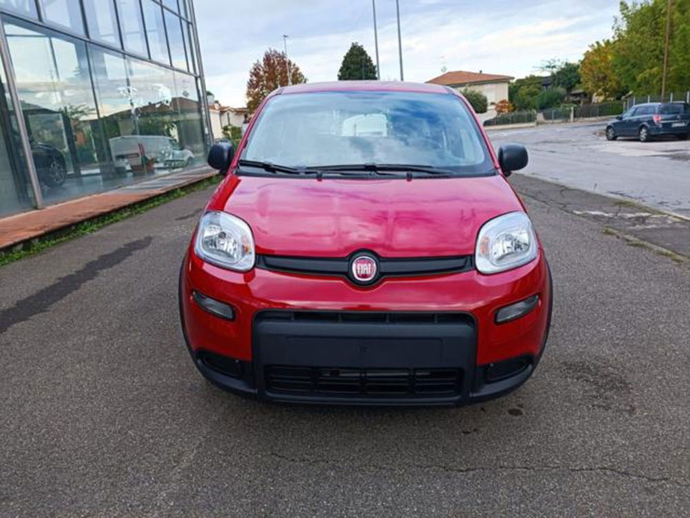 Fiat Panda nuova a Pisa (20)