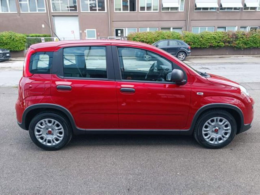 Fiat Panda nuova a Pisa (3)