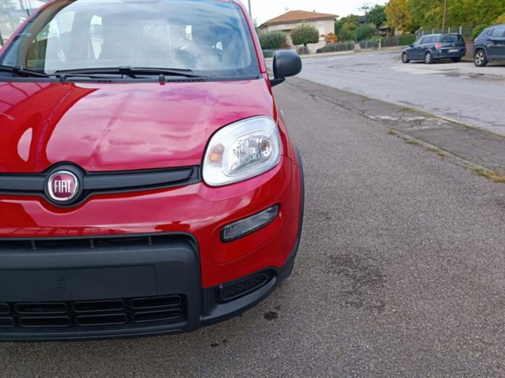 Fiat Panda nuova a Pisa (6)