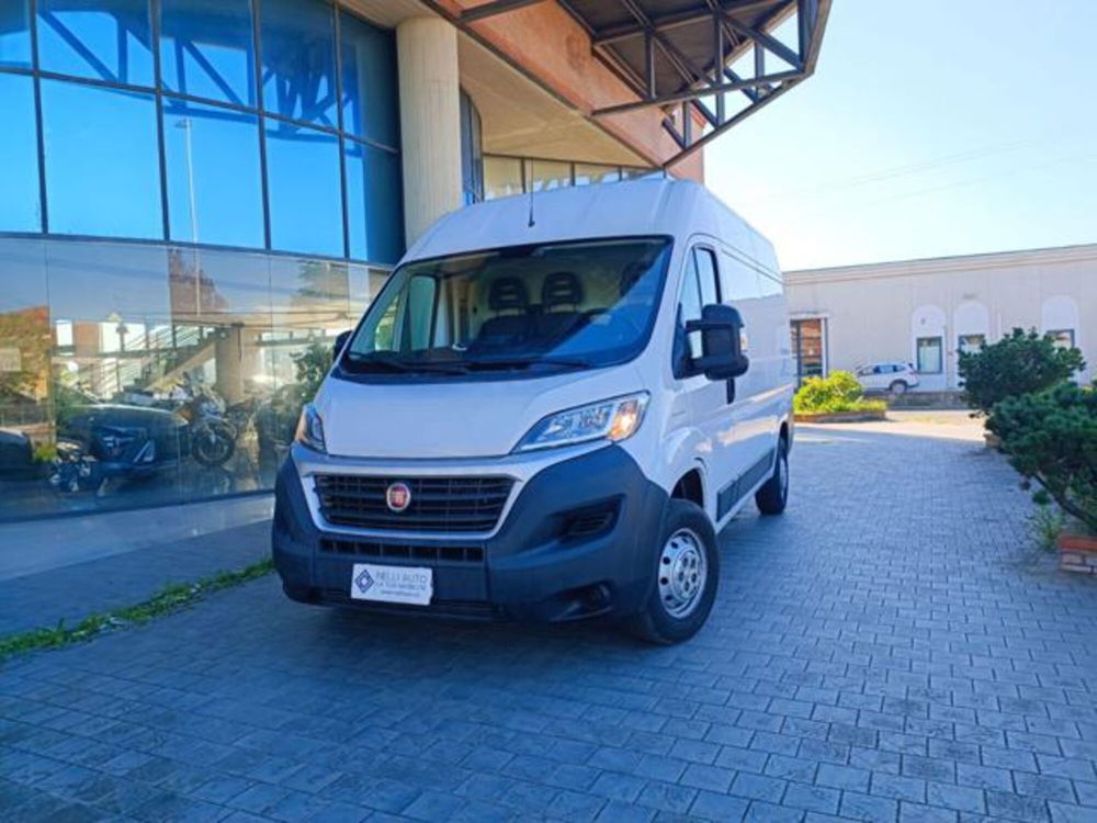 Fiat Ducato Furgone usata a Pisa