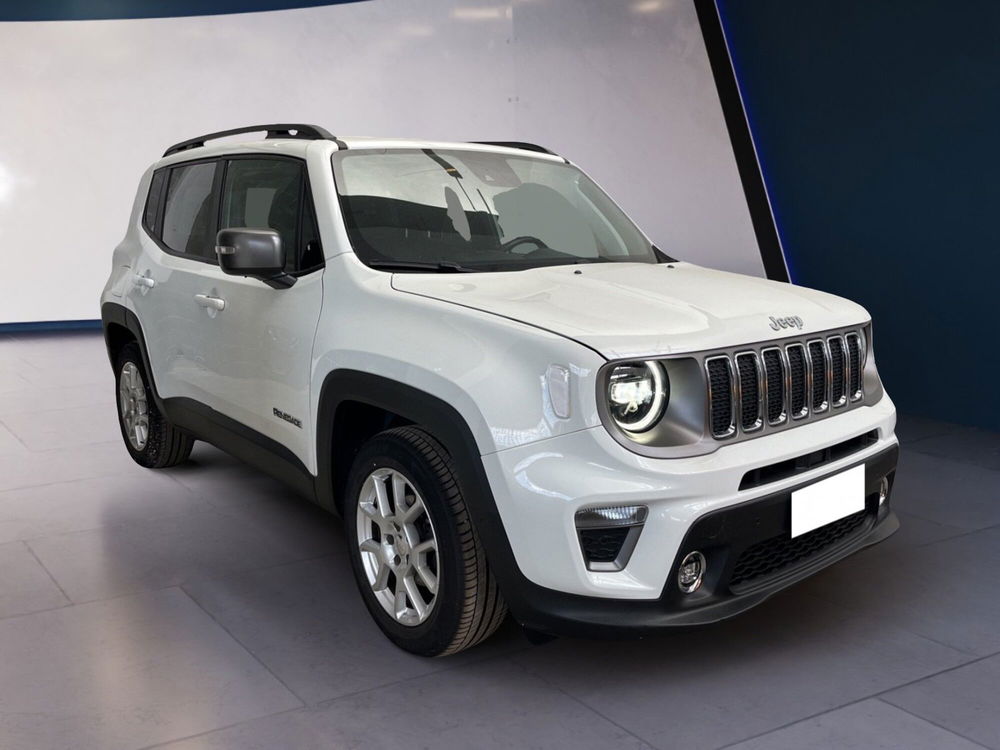 Jeep Renegade usata a Torino (2)