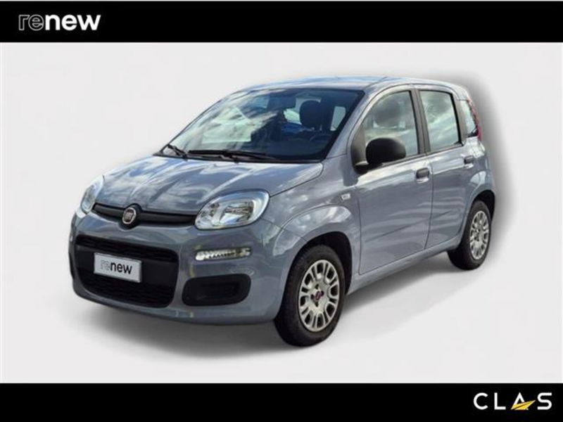 Fiat Panda 1.2 Easy  del 2020 usata a Livorno