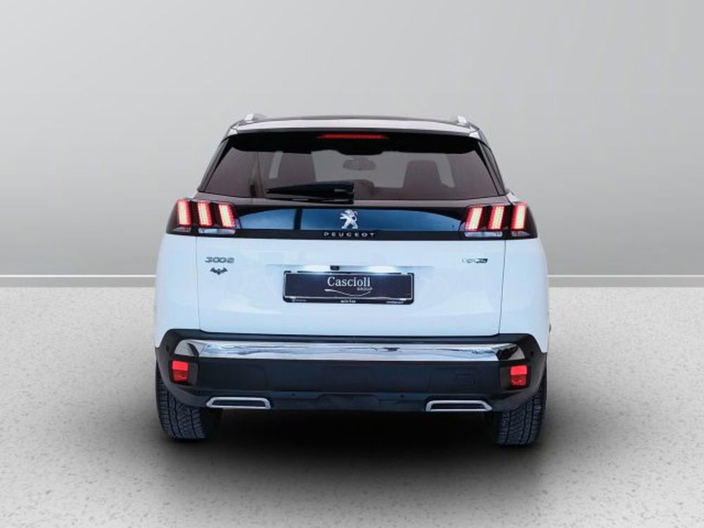 Peugeot 3008 usata a Teramo (4)