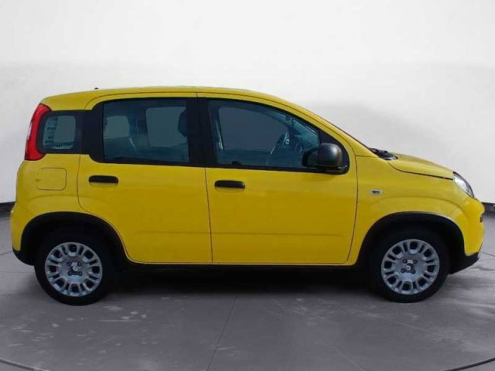 Fiat Panda nuova a Lecce (20)