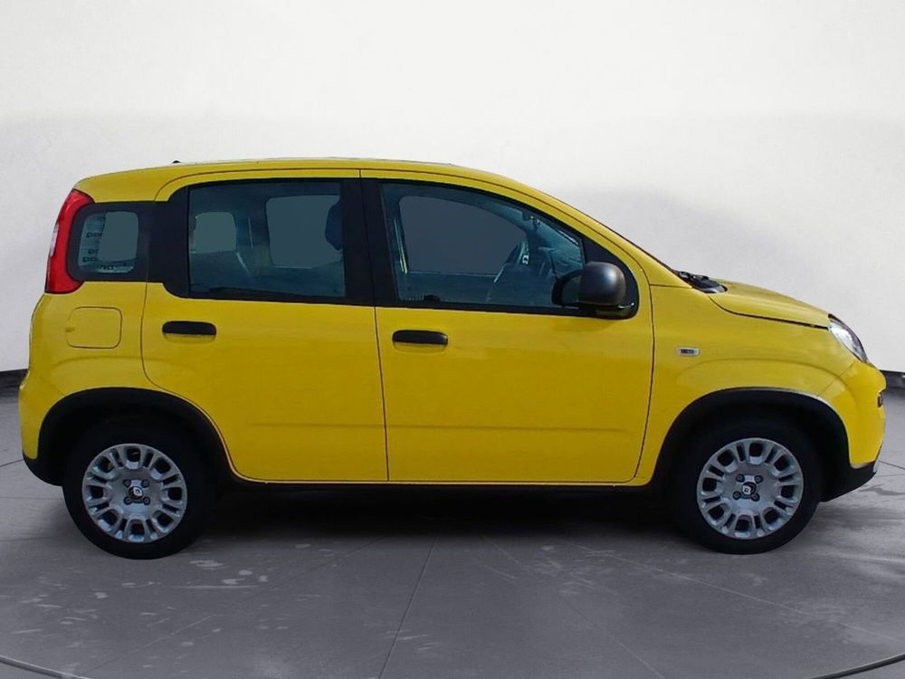 Fiat Panda Cross nuova a Brindisi (7)