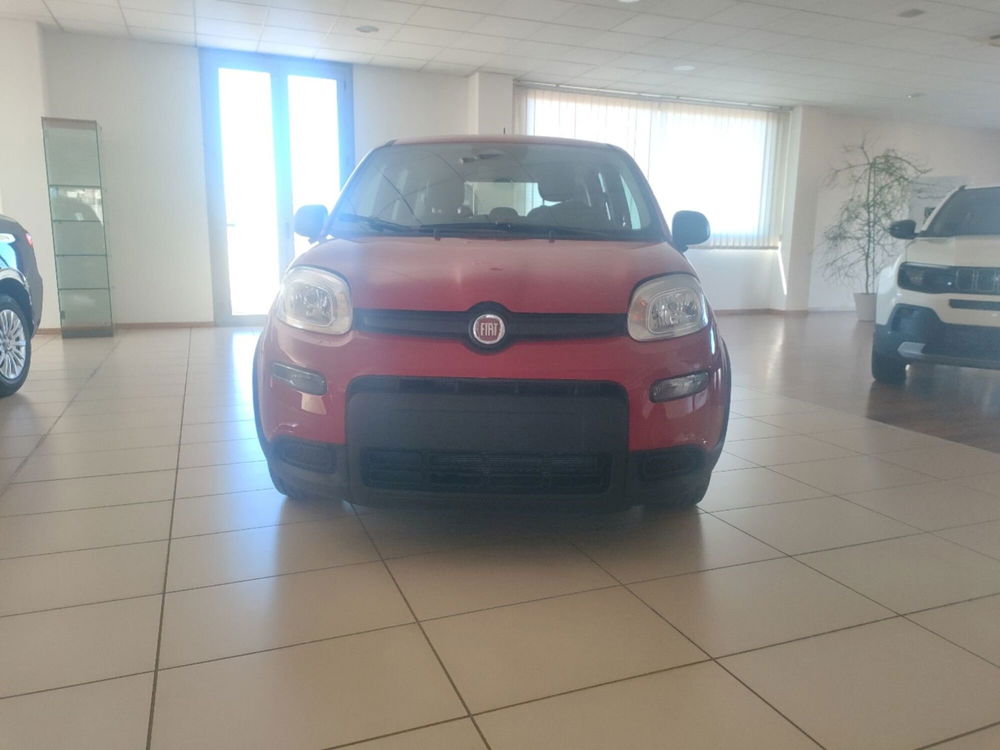 Fiat Panda Cross nuova a Lecce (5)