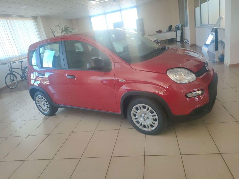 Fiat Panda Cross nuova a Lecce (7)