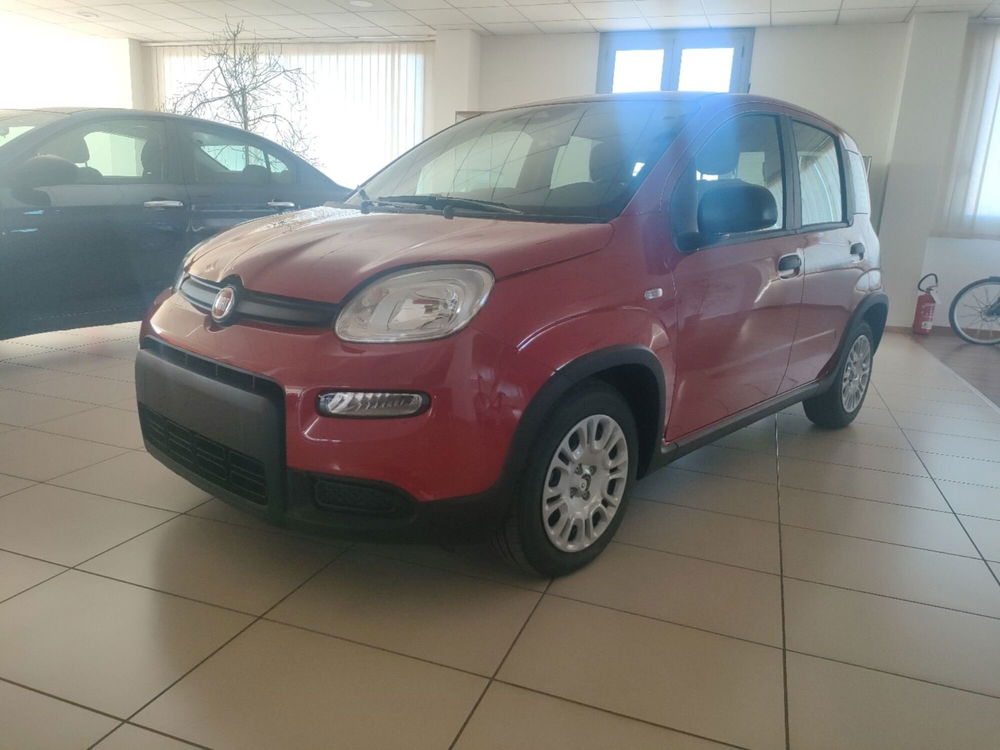 Fiat Panda Cross nuova a Lecce (8)