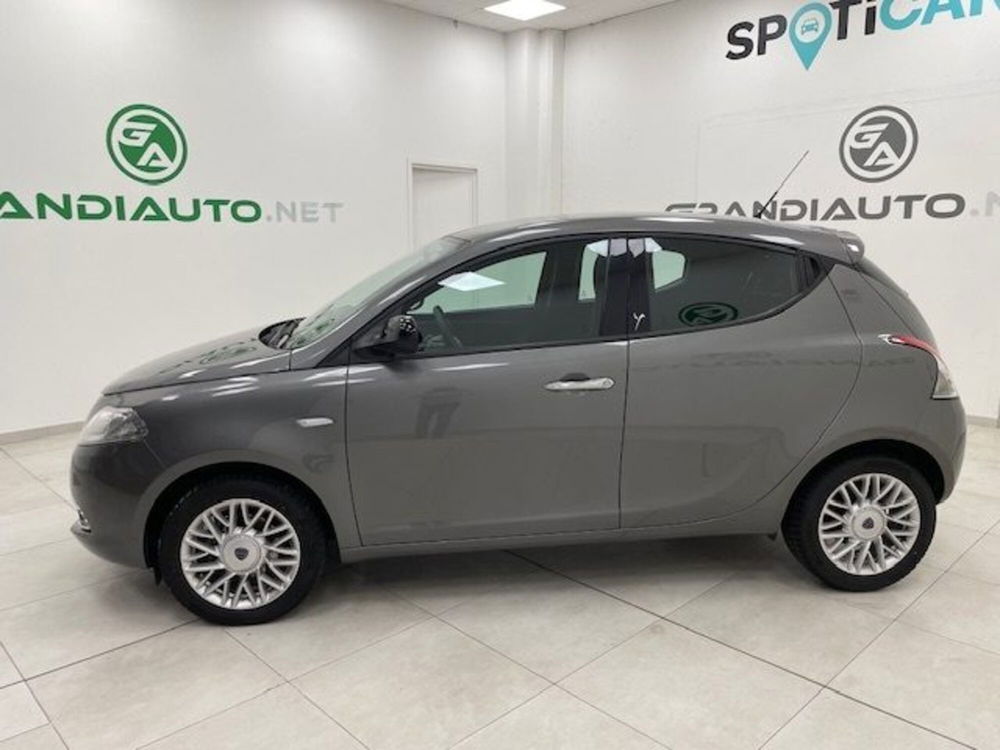 Lancia Ypsilon usata a Alessandria (2)