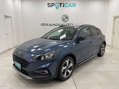 Ford Focus 1.0t ecoboost h X 155cv powershift del 2021 usata a Alessandria