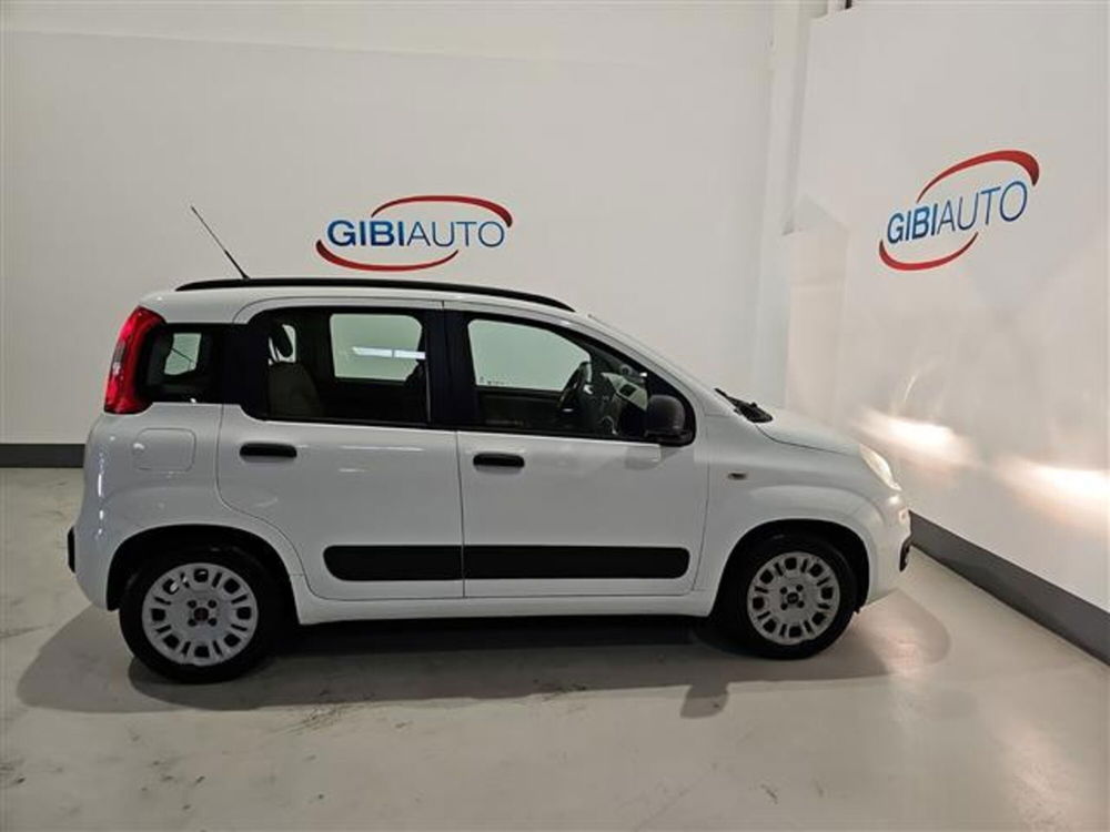 Fiat Panda nuova a Palermo (5)