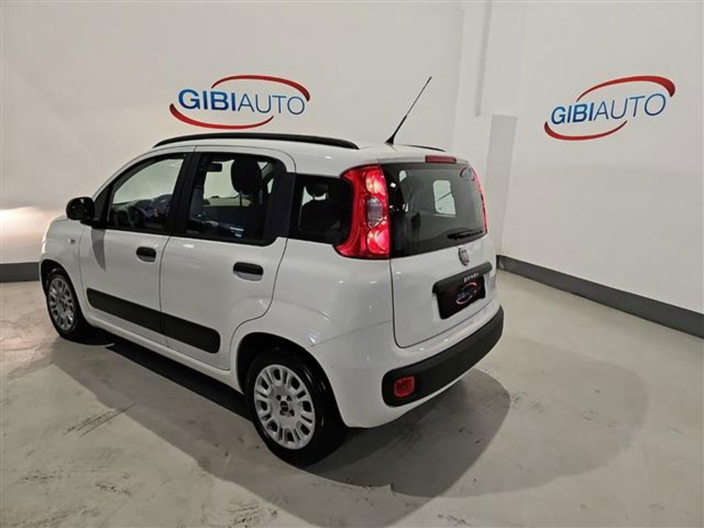 Fiat Panda nuova a Palermo (6)