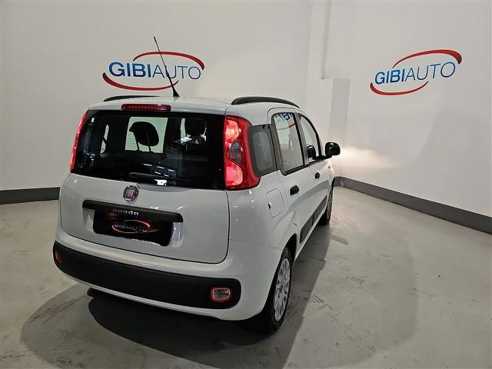 Fiat Panda nuova a Palermo (8)