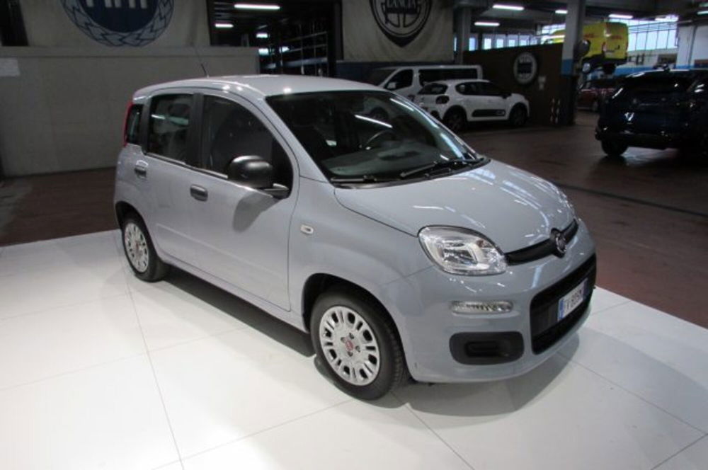 Fiat Panda usata a Milano (2)