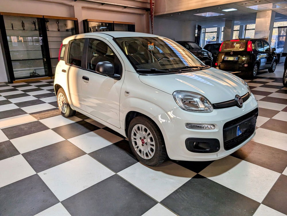 Fiat Panda usata a Arezzo