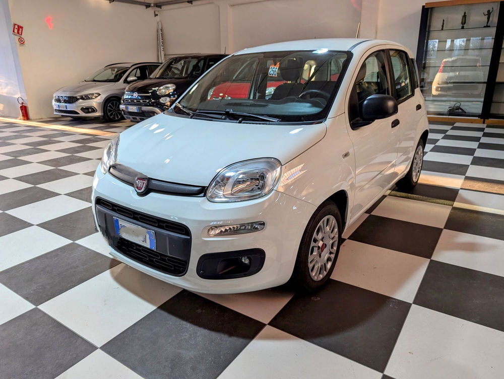 Fiat Panda usata a Arezzo (4)