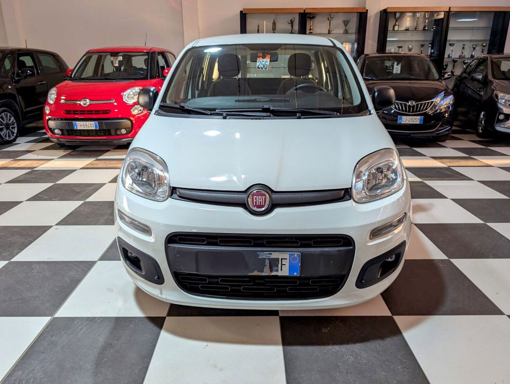 Fiat Panda usata a Arezzo (5)