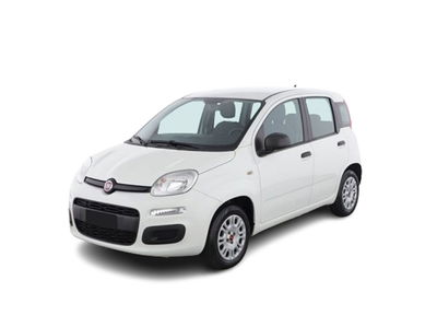 Fiat Panda 1.2 Easy  del 2020 usata a Bari