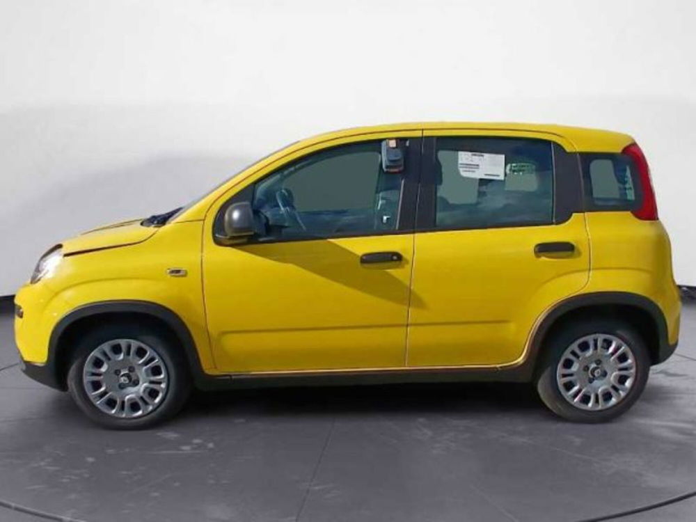 Fiat Panda nuova a Lecce (12)