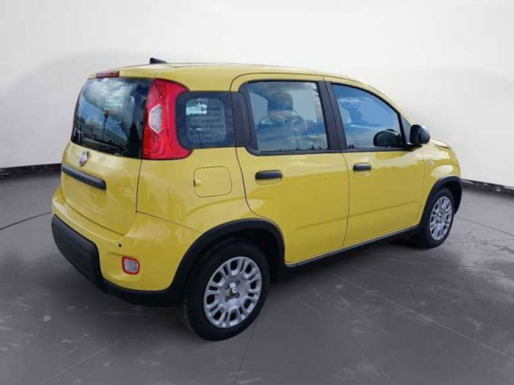 Fiat Panda nuova a Lecce (19)