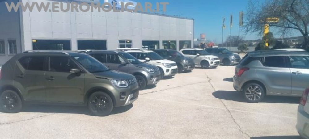 Suzuki Ignis nuova a Campobasso (2)