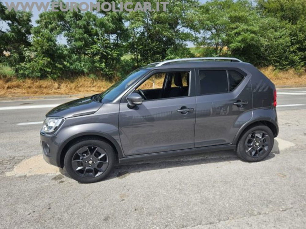 Suzuki Ignis nuova a Campobasso (2)