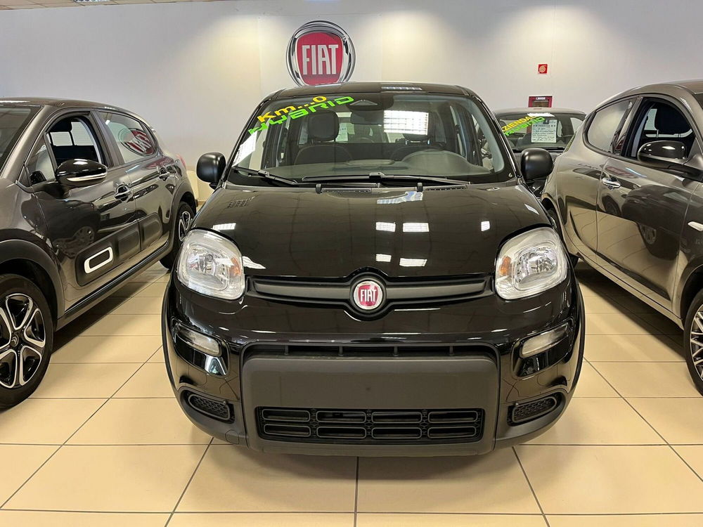 Fiat Panda Cross nuova a Milano (2)