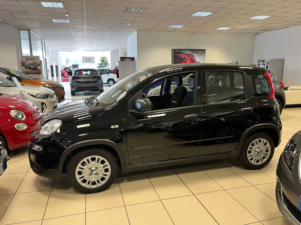 Fiat Panda Cross nuova a Milano (4)