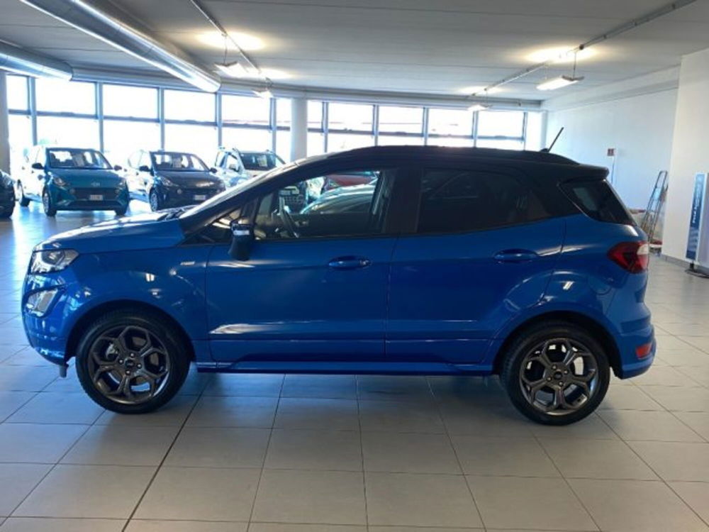 Ford EcoSport usata a Cuneo (4)