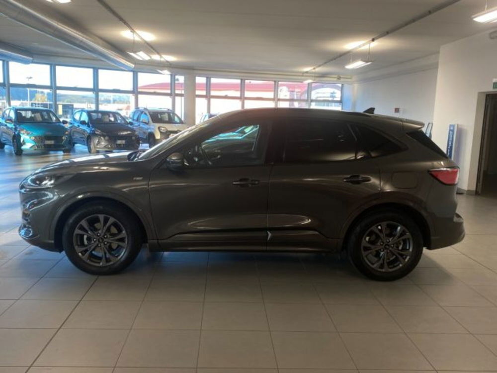 Ford Kuga usata a Cuneo (8)