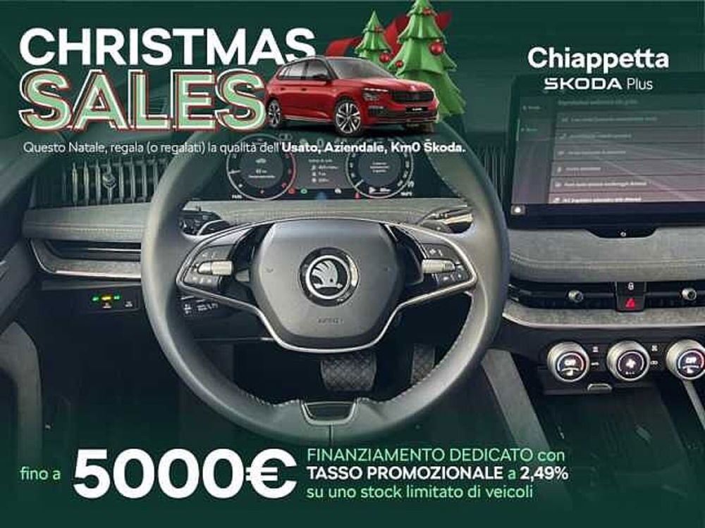 Skoda Superb nuova a Cosenza (10)