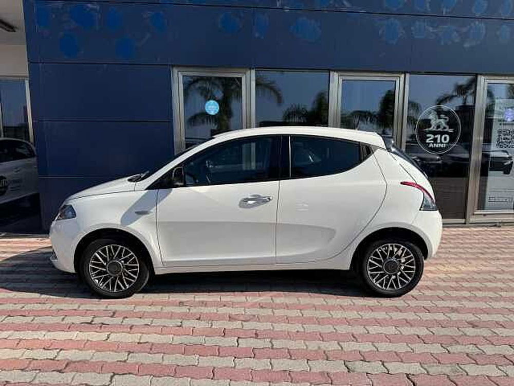 Lancia Ypsilon usata a Vibo Valentia (8)