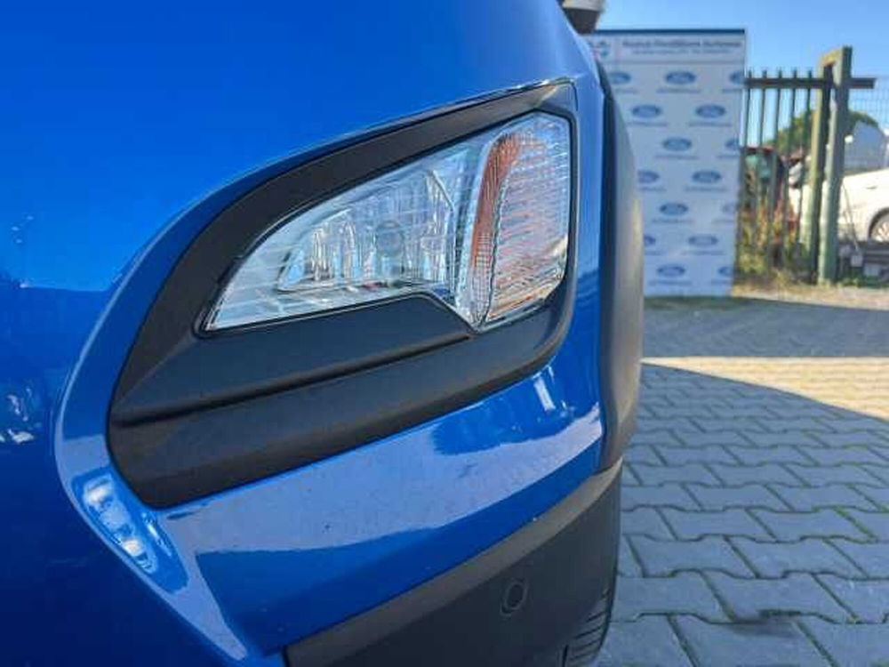 Ford EcoSport usata a Firenze (19)