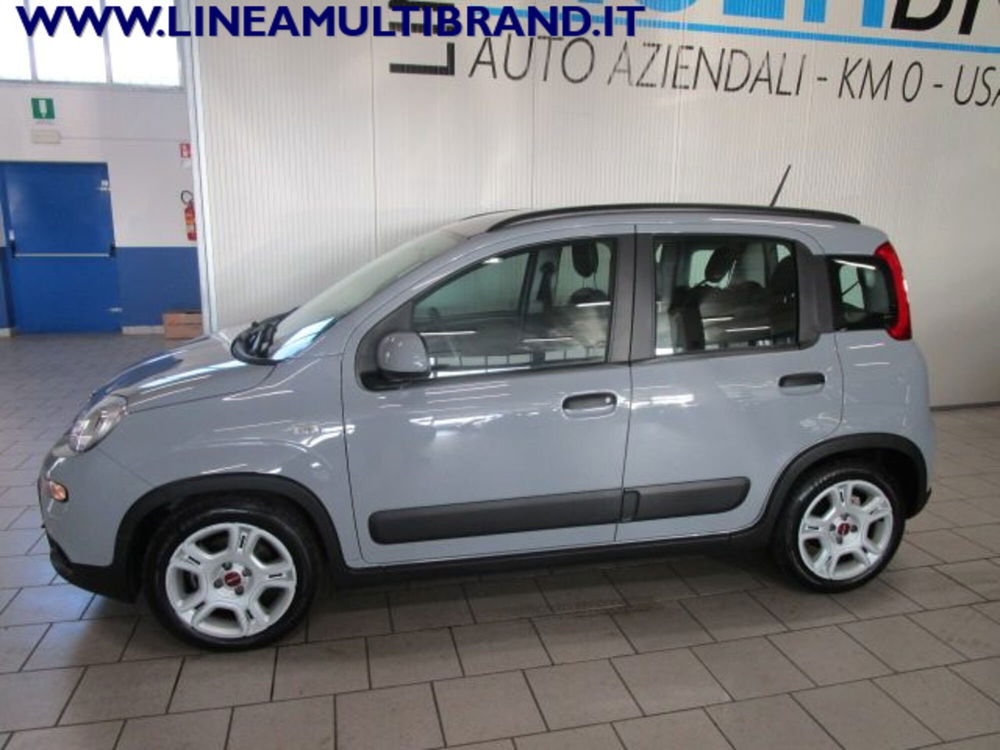 Fiat Panda usata a Piacenza (9)