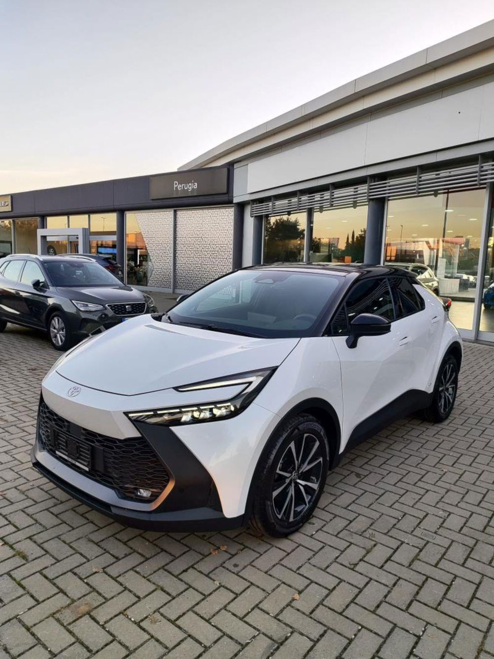 Toyota Toyota C-HR nuova a Perugia