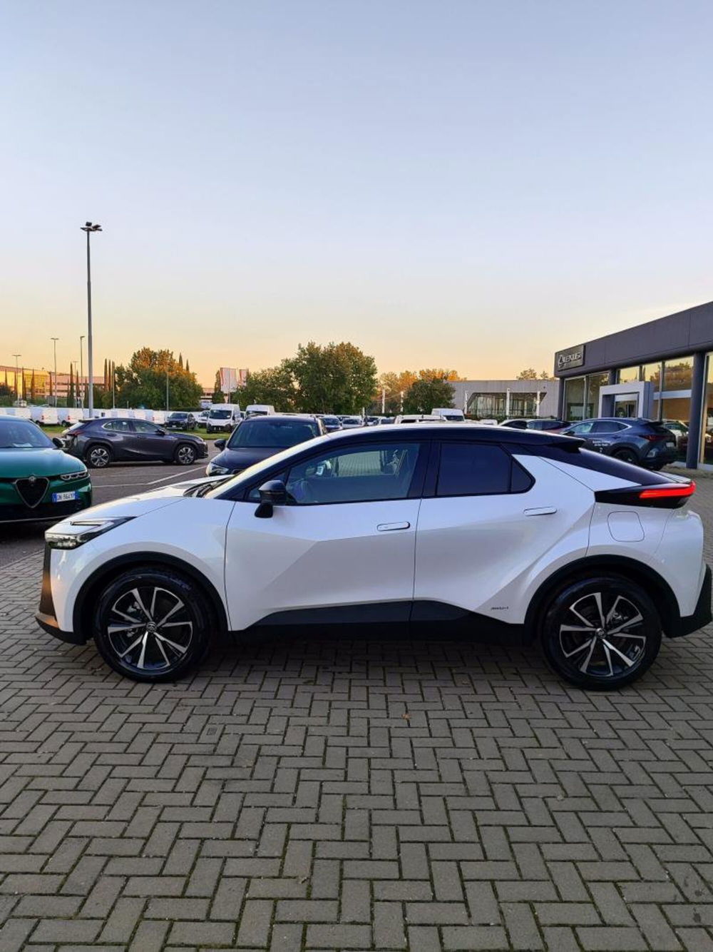 Toyota Toyota C-HR nuova a Perugia (2)