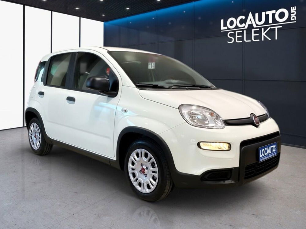 Fiat Panda nuova a Torino (2)