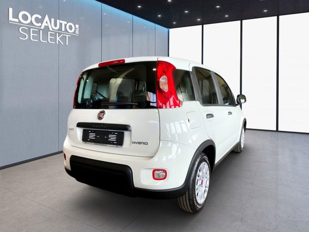 Fiat Panda Cross nuova a Torino (4)