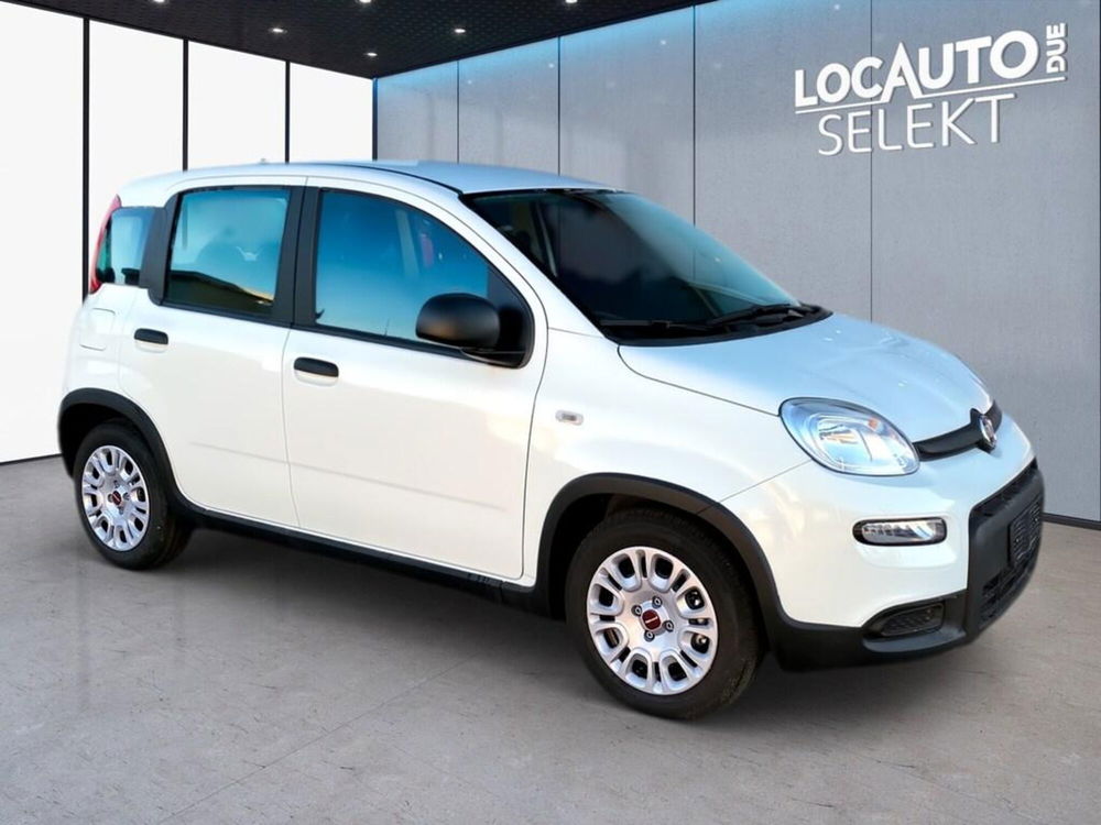 Fiat Panda Cross nuova a Torino (3)