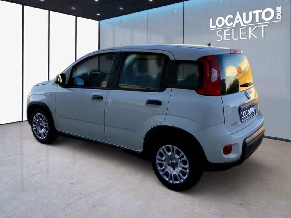 Fiat Panda Cross nuova a Torino (5)