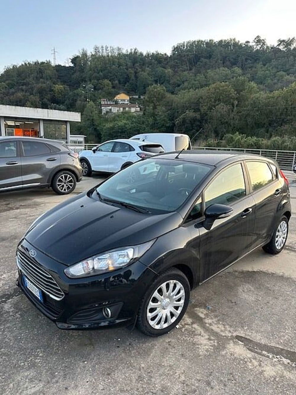 Ford Fiesta usata a La Spezia