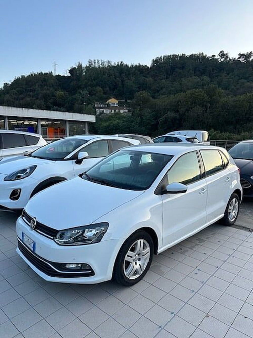 Volkswagen Polo usata a La Spezia (2)