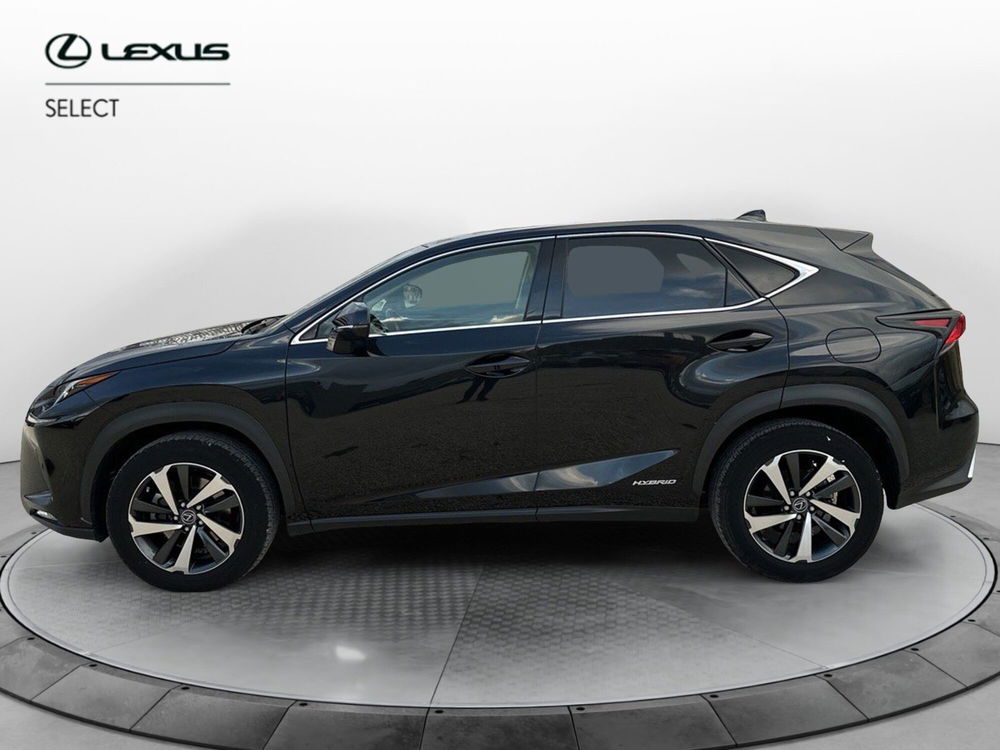 Lexus NX usata a Ragusa (2)