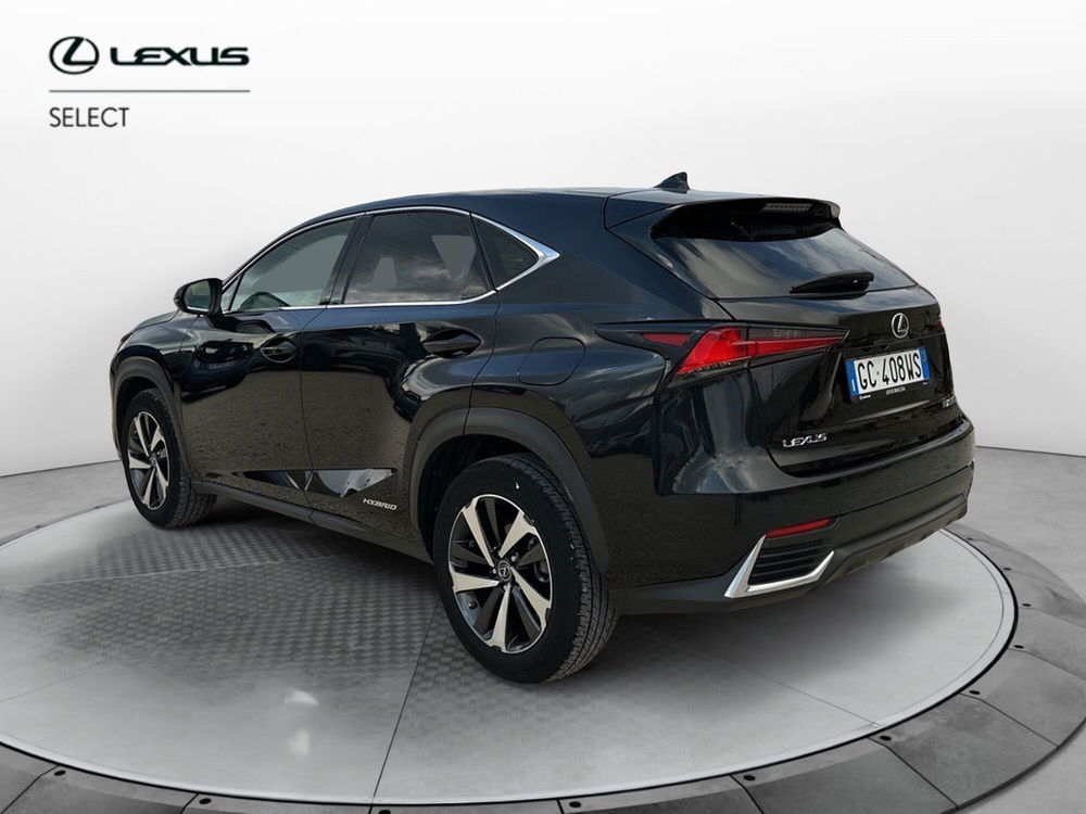 Lexus NX usata a Ragusa (4)