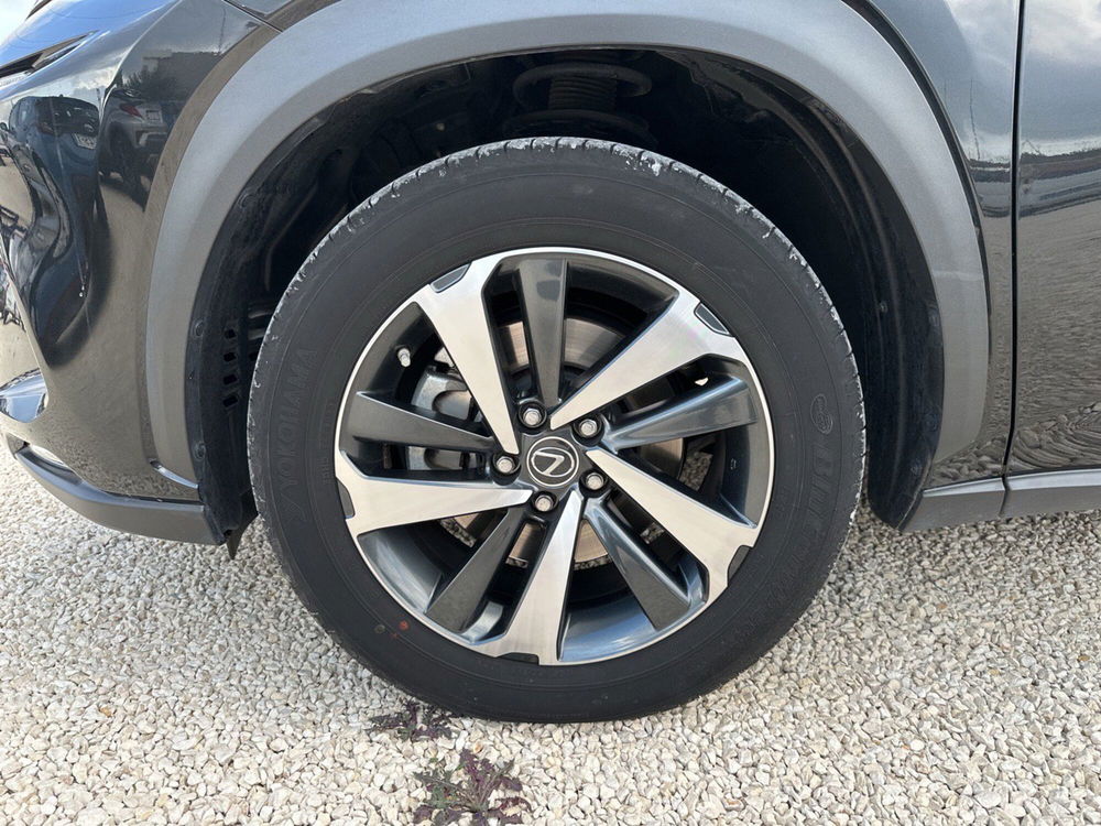 Lexus NX usata a Ragusa (5)