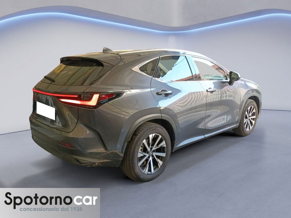 Lexus NX usata a Milano (19)