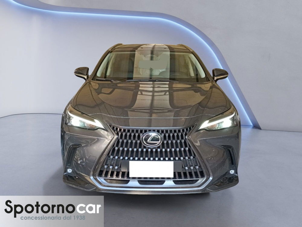 Lexus NX usata a Milano (4)