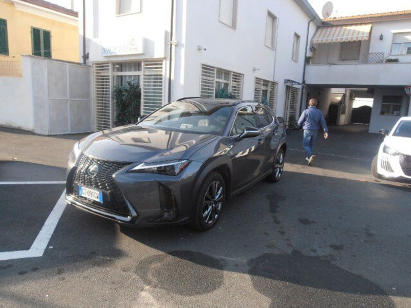 Lexus UX Hybrid 4WD Design del 2024 usata a San Vincenzo