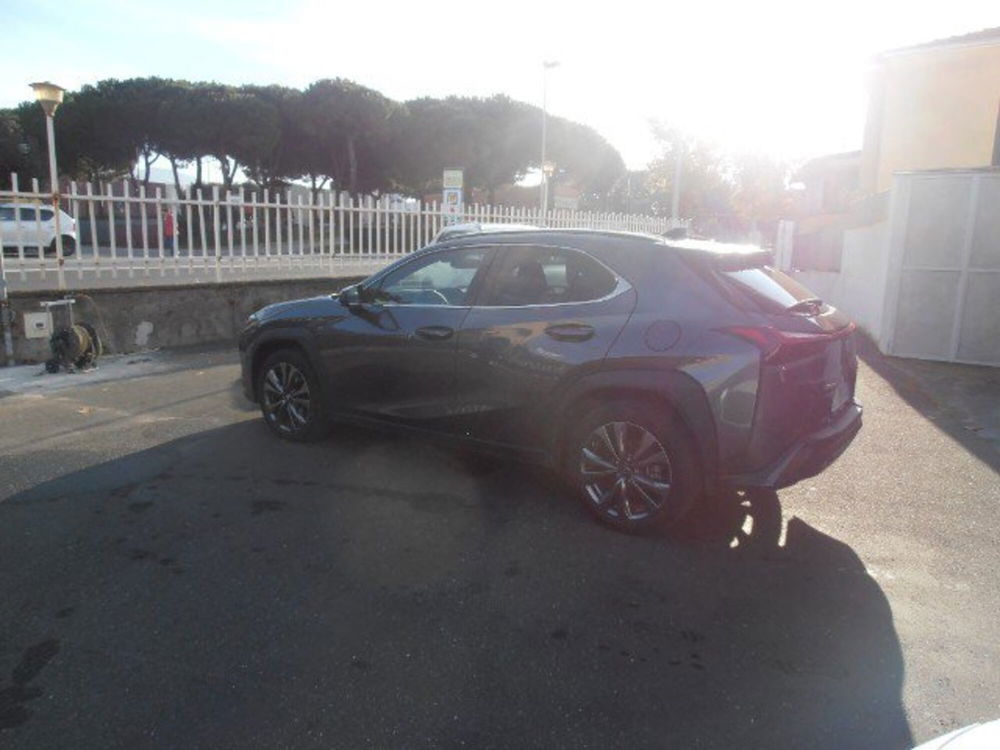 Lexus UX usata a Livorno (2)